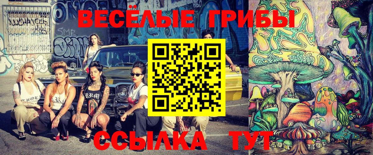 Псилоцибиновые грибы Psilocybine cubensis Алапаевск
